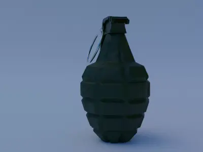 Realistic Grenade 3D Model Low-poly 3D model