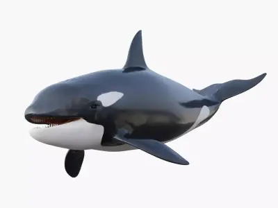 Killer Whale Animated 8K Low-poly 3D model