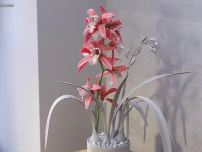 Pink Orchid Branch 3D model