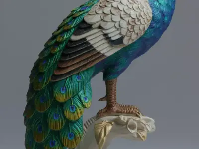 Realistic Peacock Bird  Iridescent Feathers PBR Game Ready Low-poly 3D model