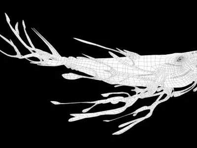 Space Whale Low-poly 3D model