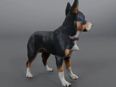 Lancashire 3D model