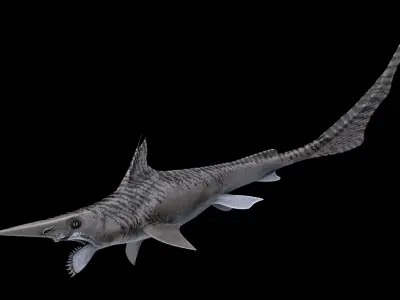 Helicoprion Asset Pack Low-poly 3D model