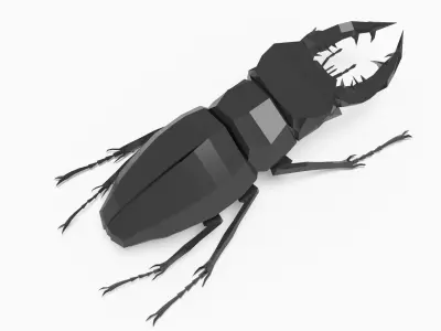 Bug low poly beetle Low-poly 3D model