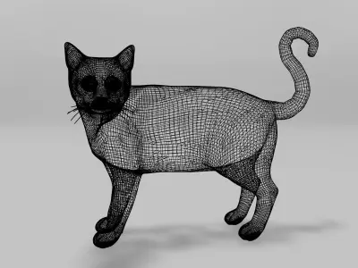 Burmese Cat Rigged Low-poly 3D model