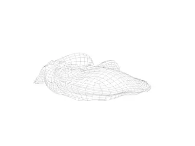Raw Pig Liver Low-poly 3D model