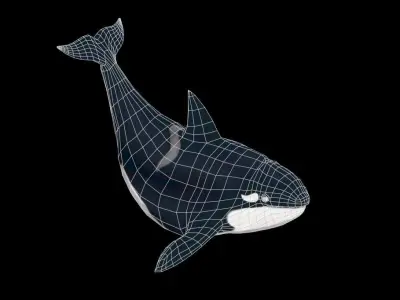 Killer whale Low-poly 3D model buy