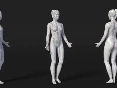 Female Acupuncture Mannequin 3D model