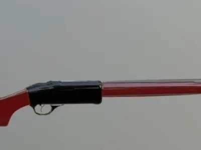 3d model of drobovik gun 3D model