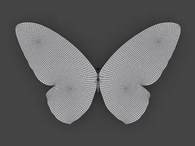 BFLY-004 Butterfly 3D model