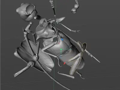 Anoplophora malasiaca 3D model