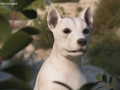  Mongrel Dog Cream Rigged 