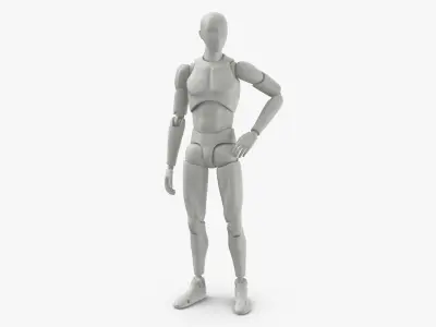 Male Mannequin Rigged 3D model