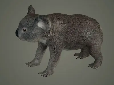cute nature art animal mammal rat wildlife animals koala bear 3D model