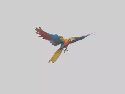 Macaw flying model Low-poly 3D model