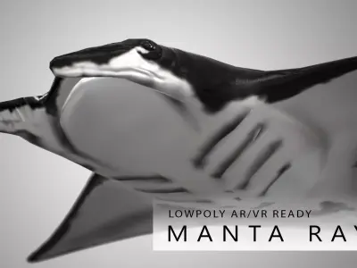 Manta Ray  Low-poly 3D model