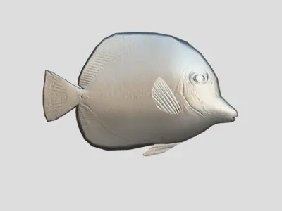 Yellow Tang 2 Realistic Animated Low-poly 3D model