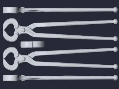 Ticks pincer 3D model