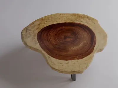 Suar Wood Coffee Table 3D model