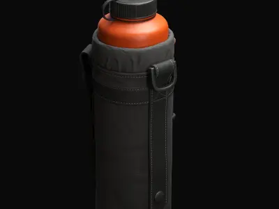 Water Pouch Low-poly 3D model