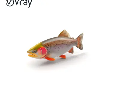 Lahontan Cutthroat Trout Lifelike Model Pack Low-poly 3D model