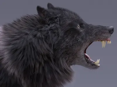 Black Wolf Rigged 3D model