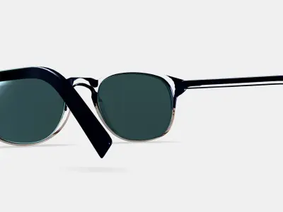 Downing Sunglasses in Antique Shale Fade 3D model