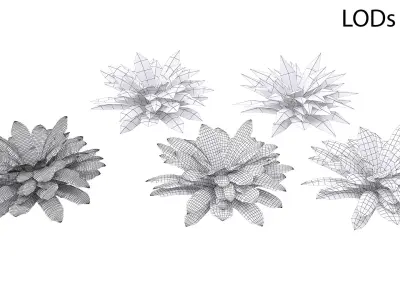 Sword Fern Bundle 3D model purchase