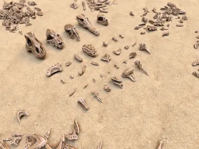 Fossil Bones and Skulls - Collection Low-poly 3D model