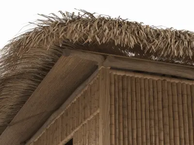 Elevated Bamboo Hut with Thatched Roof 3D model