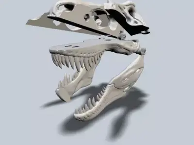 Exploded T-Rex Skull Free 3D print model