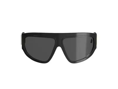 Matt Black Sunglasses 3D model