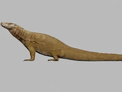 COMODO LOW POLY lizard 3D model