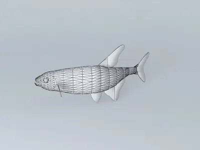 Neon tetra fish Free 3D model purchase