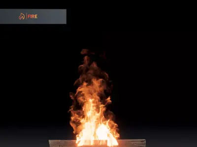 3D Fire 3D model