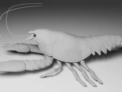 Lobster 3D model purchase