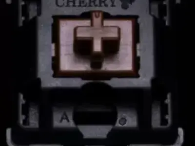 bike shop Free 3D print model