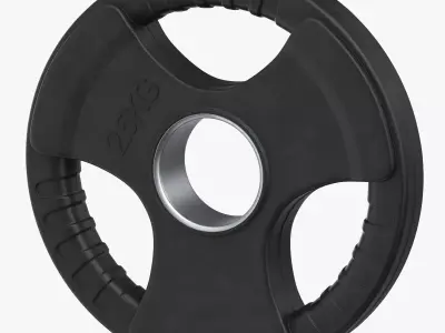 Weight Plate 2 5 KG 3D model