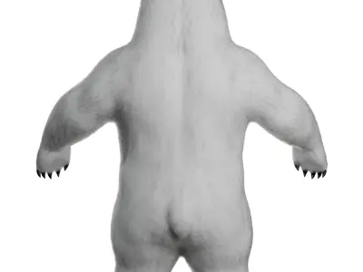 White polar Bear - 3D character 3D model