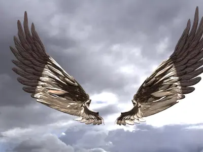 Serafim Curved wings 5 3D model