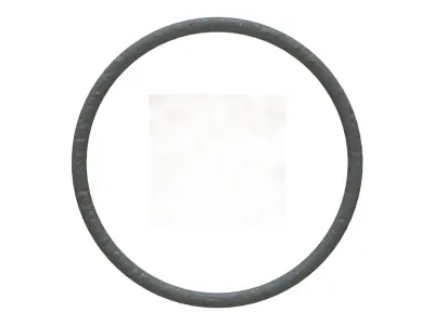O Ring Vedabras 12811 3D model