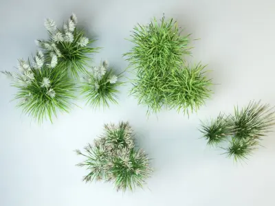  grass collection_1 