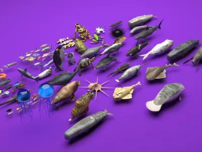 Sea Creatures Collection 3D model