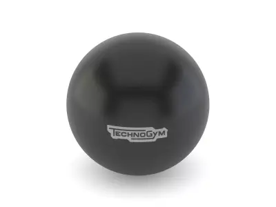 Technogym Accessories Wellness Ball 3D model