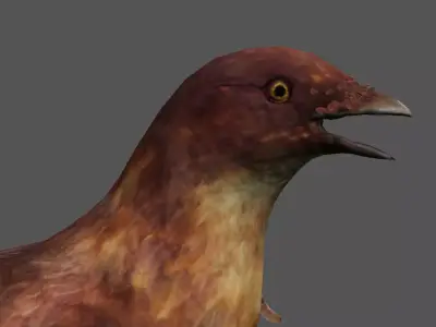 Detailed Bird Low-poly 3D model