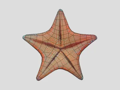 Starfish Low-poly 3D model 2