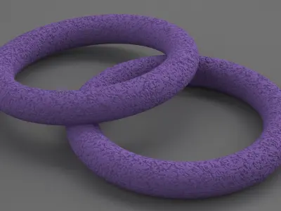 Dog Puller Standart Fitness Tool Used 3D model