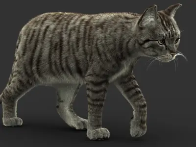 Cat (2) (Mackerel Tabby) (FUR) 3D model