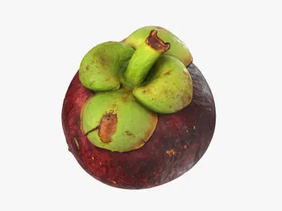  Mangosteen Collection 