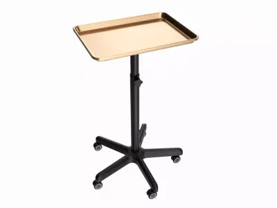 Utility Rolling Cart with Tray 3D model